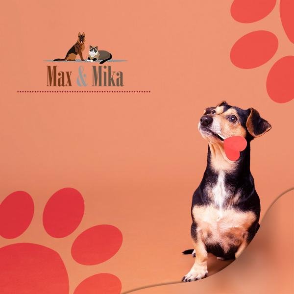 Dog Treats
