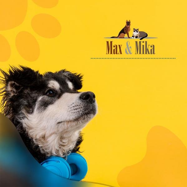 Pet Toys